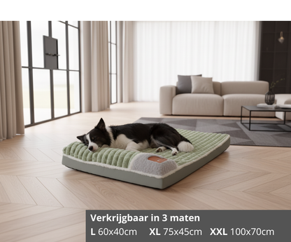 Ergonomisch huisdierenkussen – voor gezonde gewrichten & diepe rust.